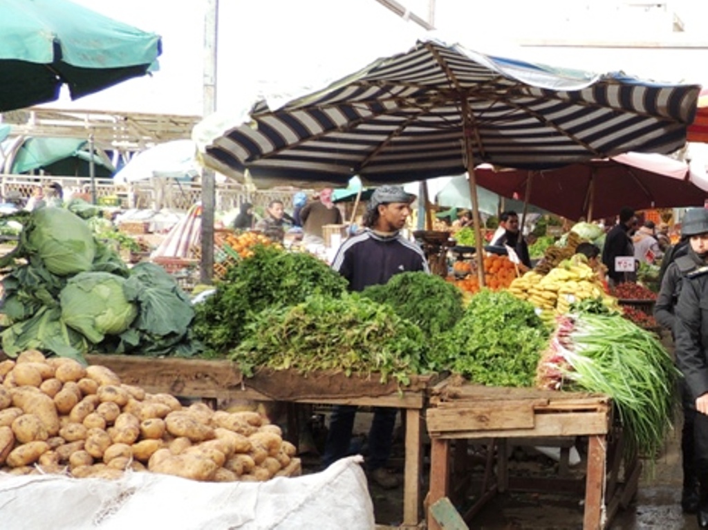 انخفاض فى أسعار الخضروات والفاكهة بأسواق مطروح (4)